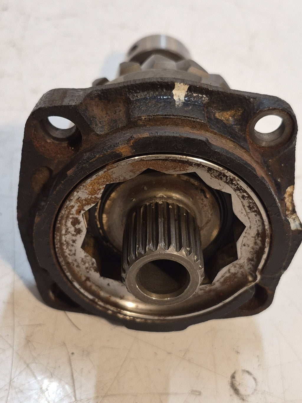 Suzuki VX 800 Primary Drive