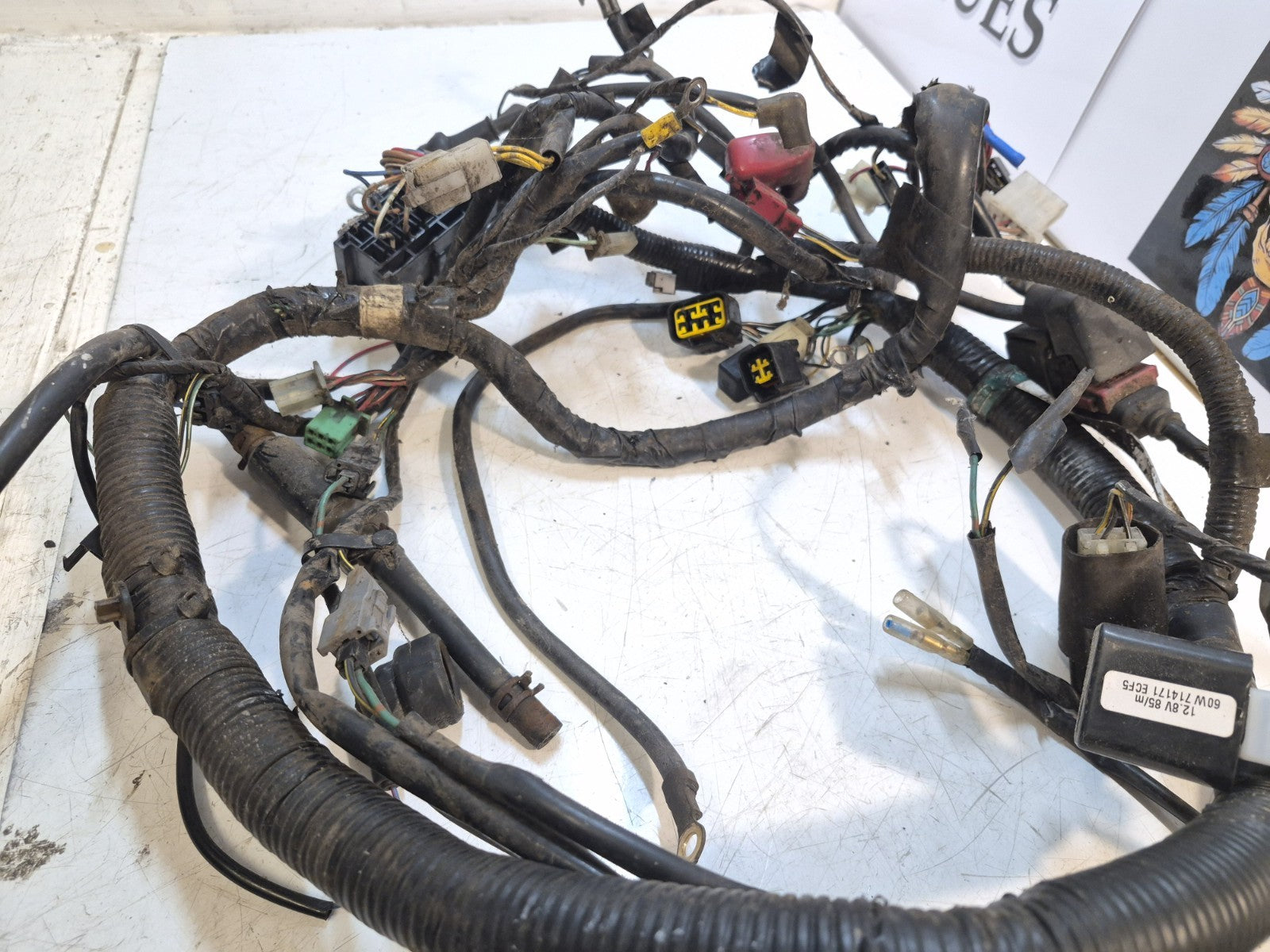 Kawasaki ER 5 Loom/Wiring Harness