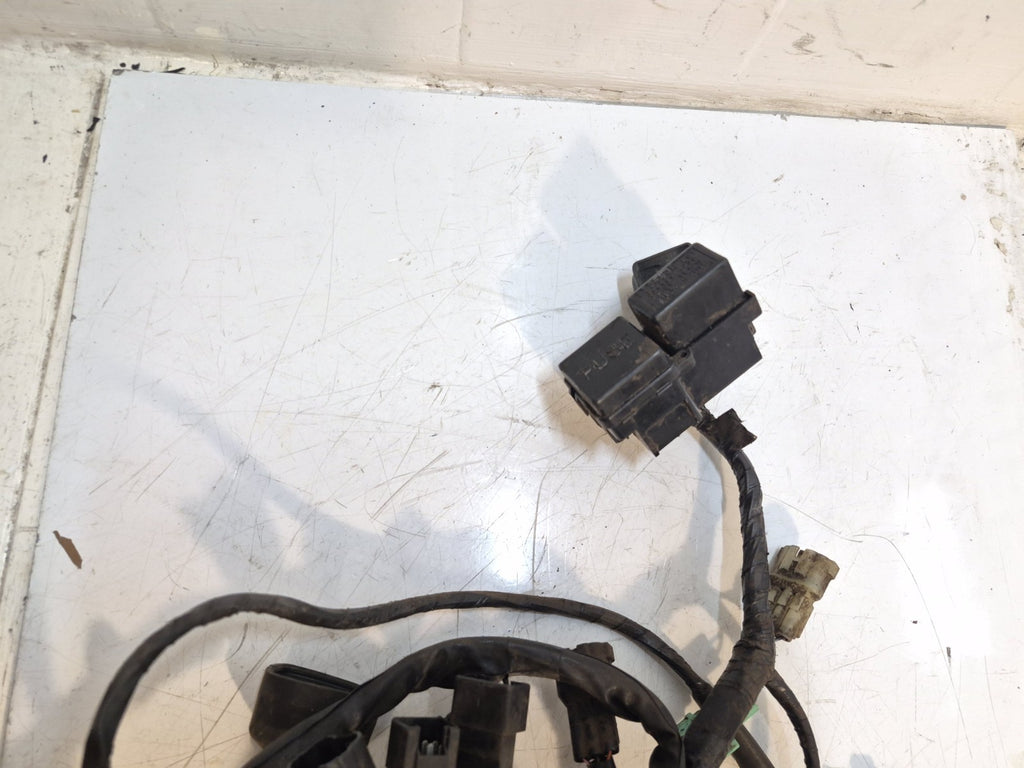 Suzuki GSF 650 Bandit Loom /Wiring Harness, ABS