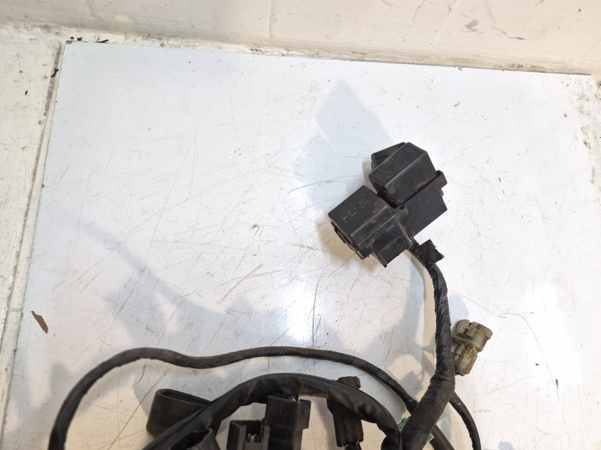 Suzuki GSF 650 Bandit Loom /Wiring Harness, ABS