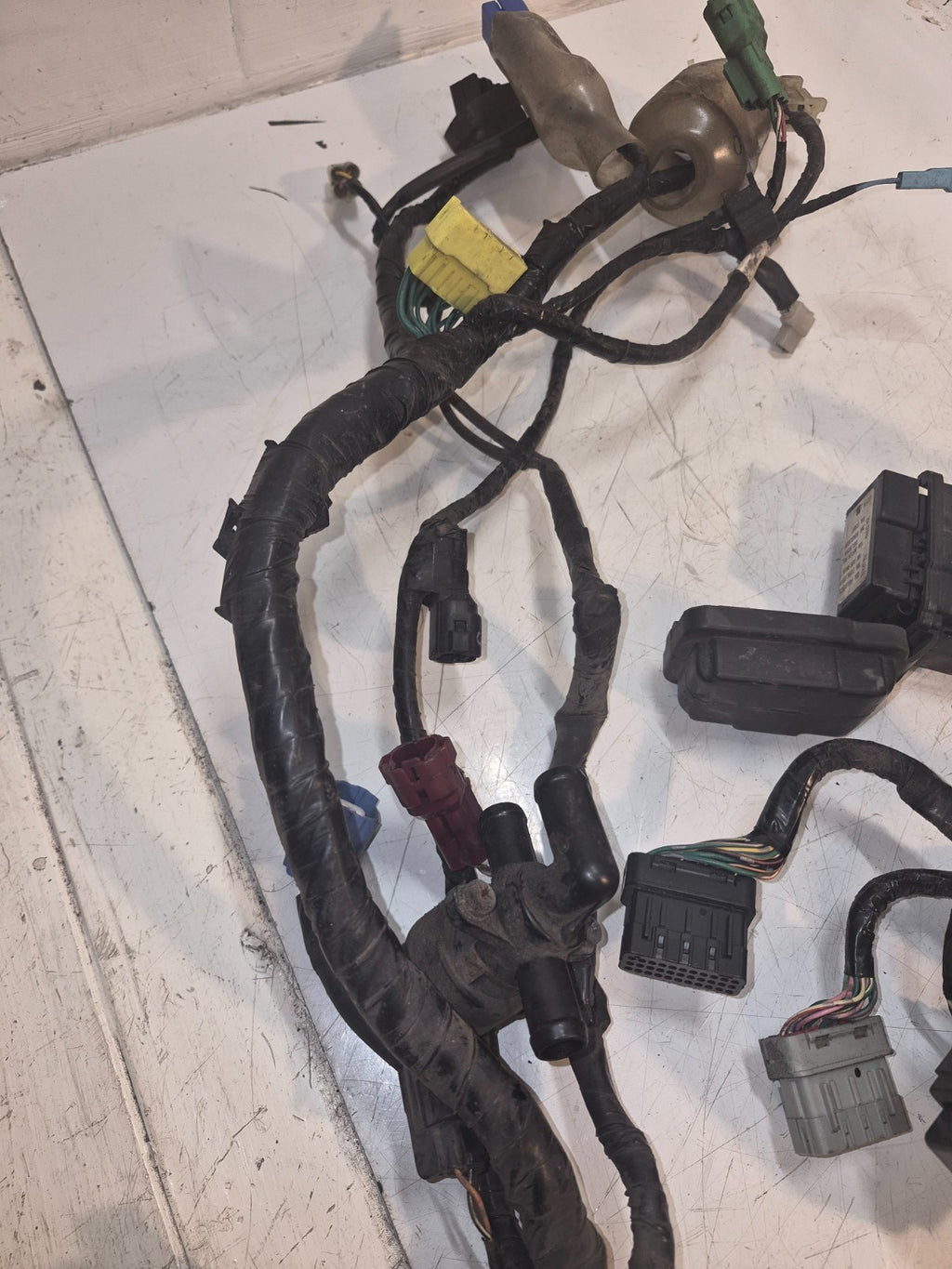 Honda CBF 1000 Loom / Wiring Harness