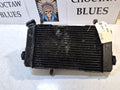 Suzuki SV 650 Gen 1 Radiator And Fan