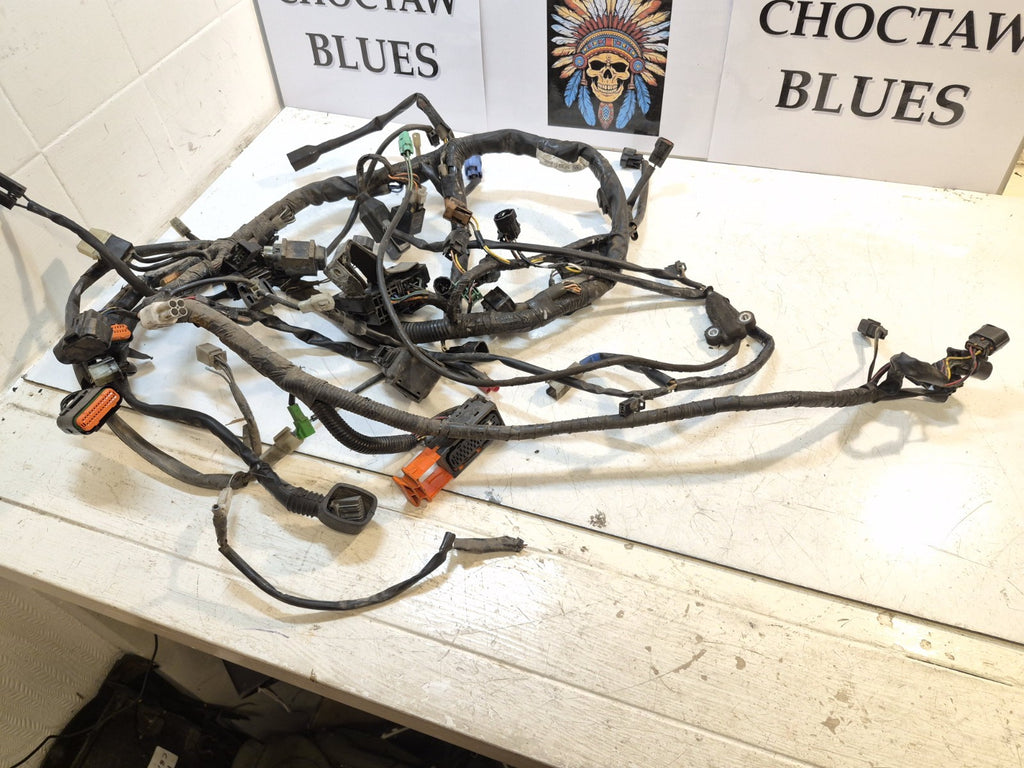 Suzuki GSF 1250 Bandit Loom / Wiring Harness
