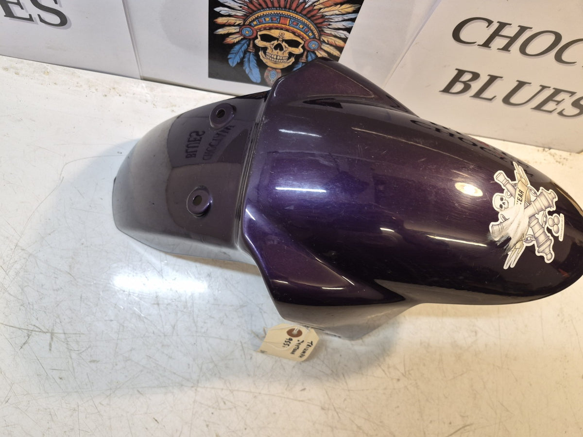 Triumph Daytona 955i Front Mudguard