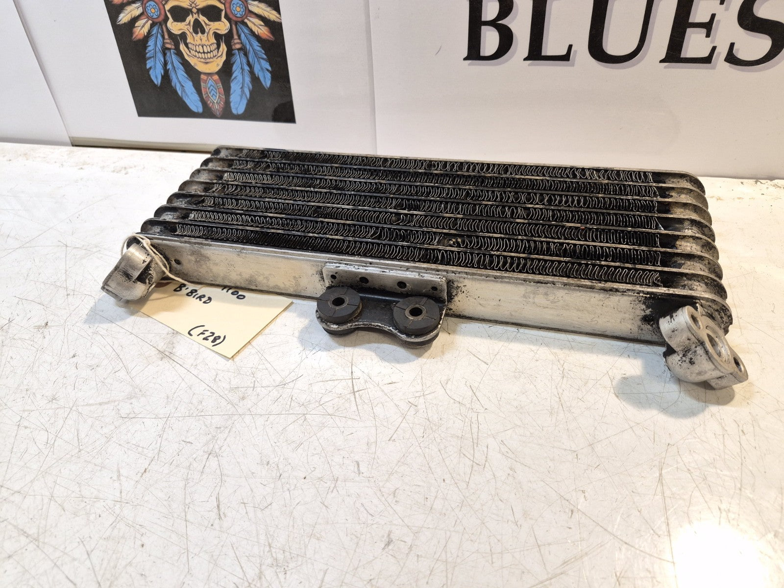 Honda CBR 1100 Blackbird Oil Cooler