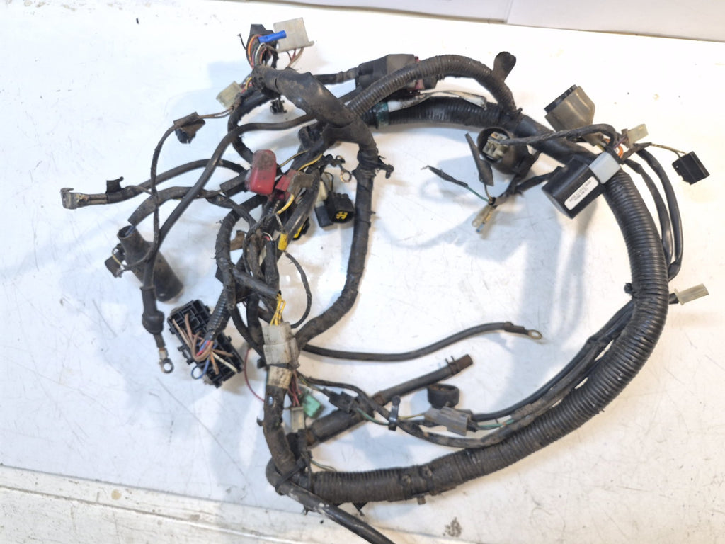 Kawasaki ER 5 Loom/Wiring Harness