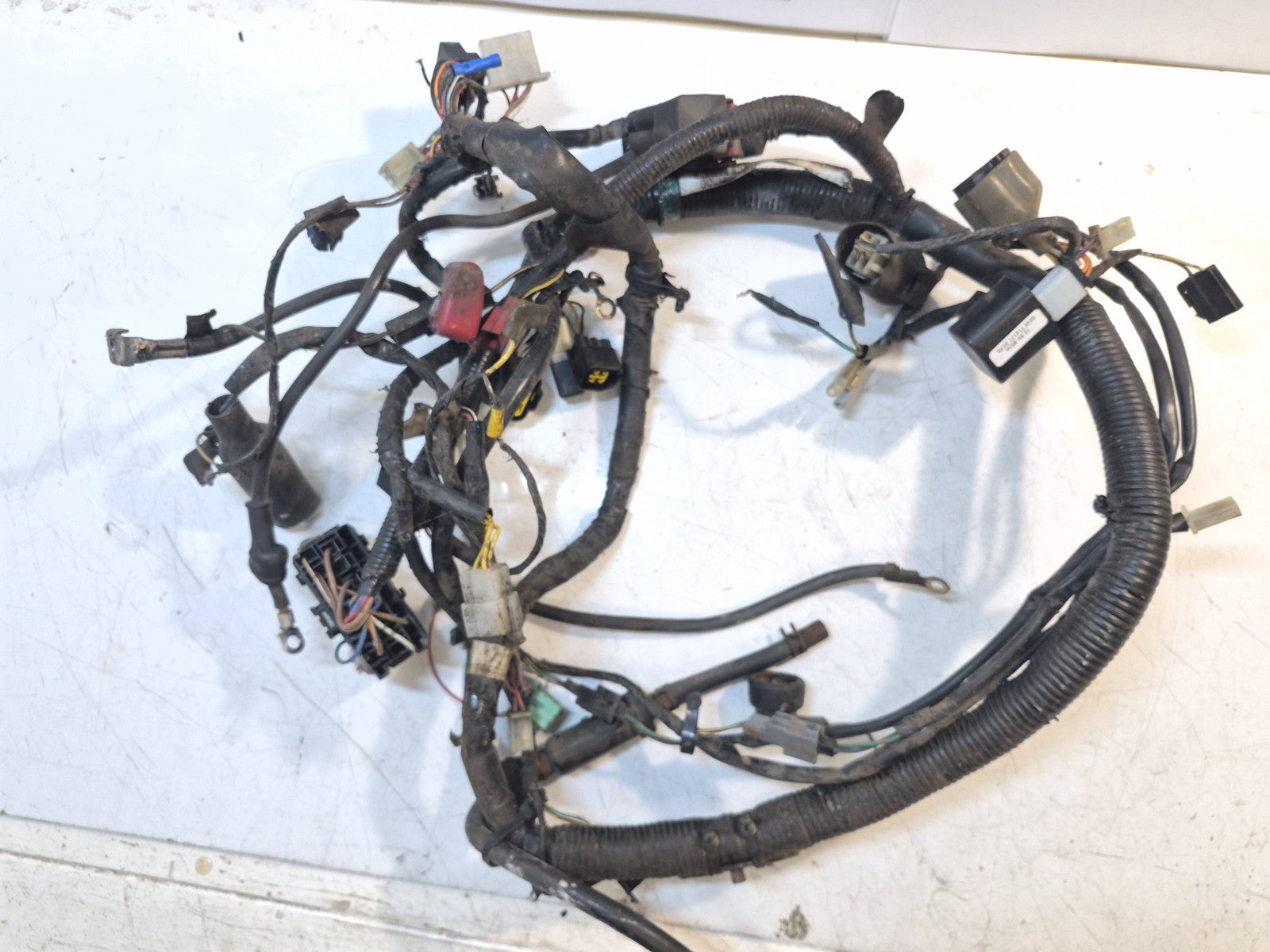 Kawasaki ER 5 Loom/Wiring Harness