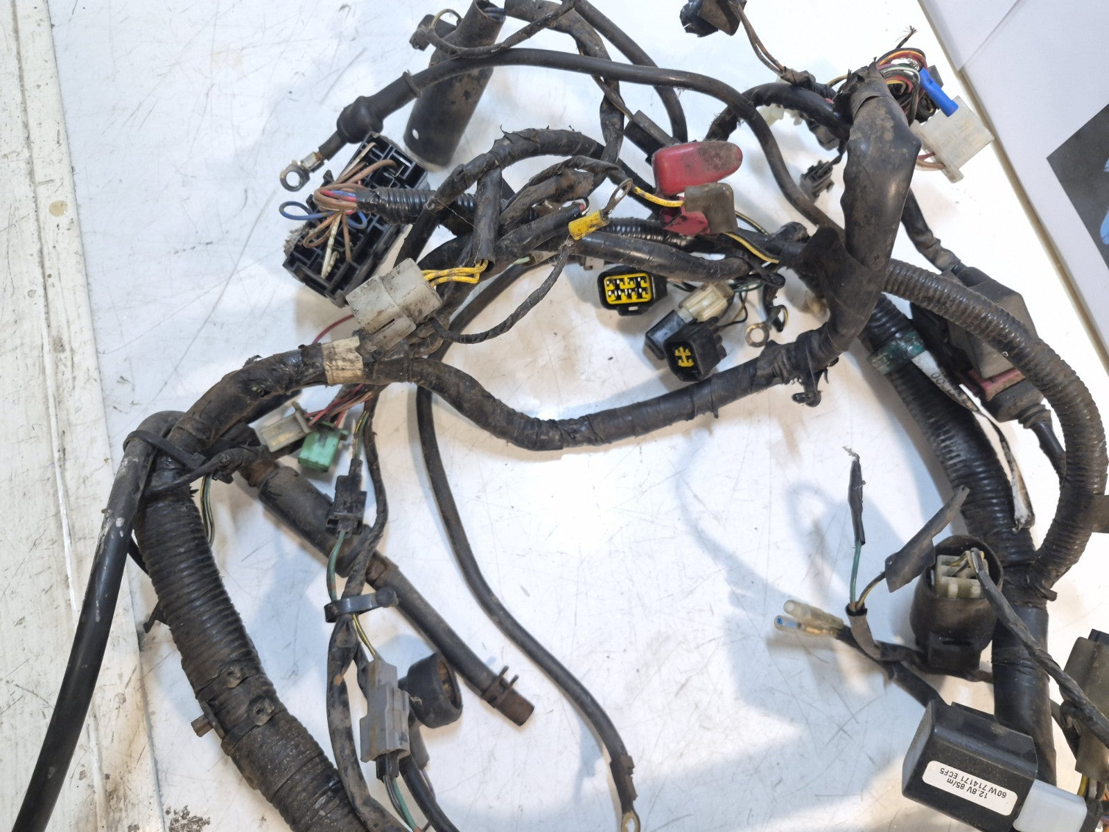 Kawasaki ER 5 Loom/Wiring Harness