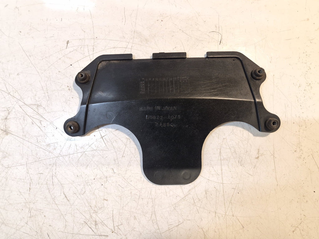 Kawasaki ZZR 600 Fairing, Infill Panel