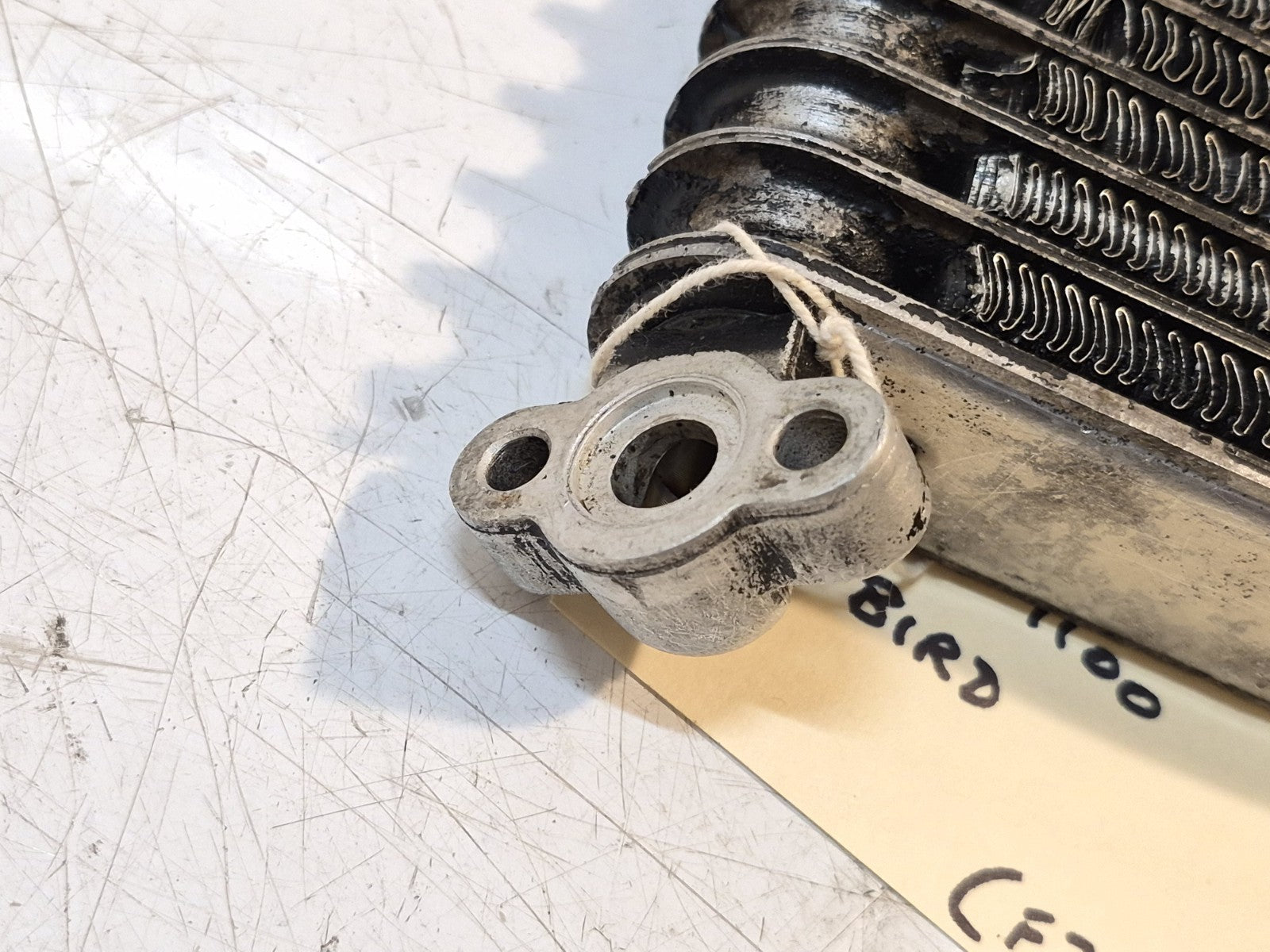Honda CBR 1100 Blackbird Oil Cooler