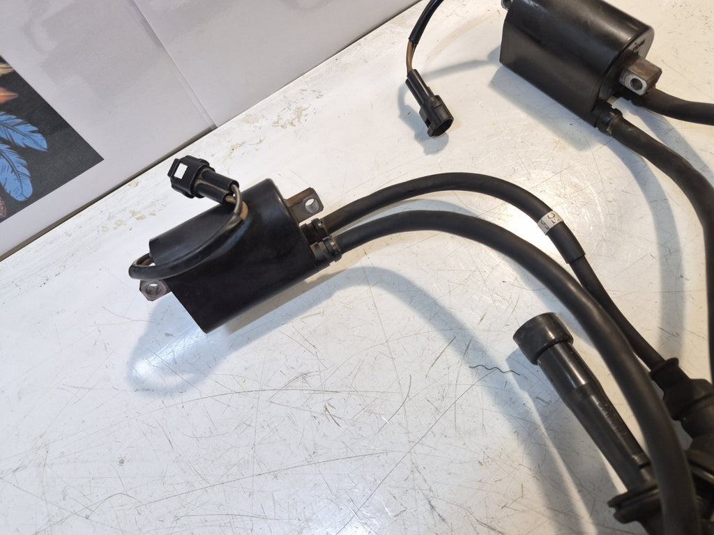 Suzuki SV 650 Gen 2 Coils, Pair
