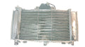 Yamaha FZ6 Fazer Radiator And Fan