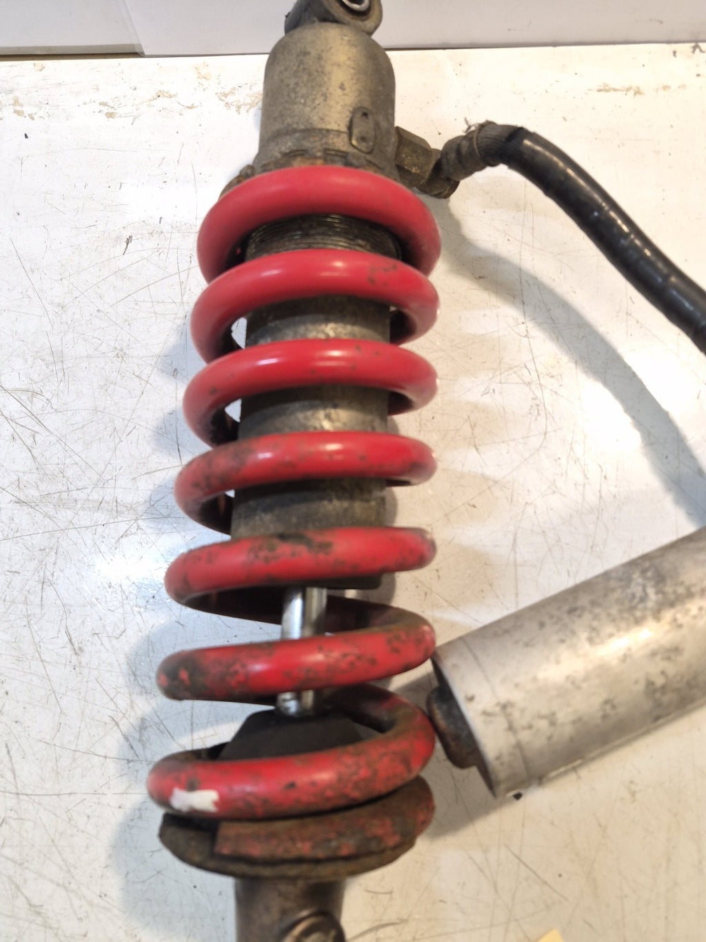 Triumph Daytona 955i Mono Shock