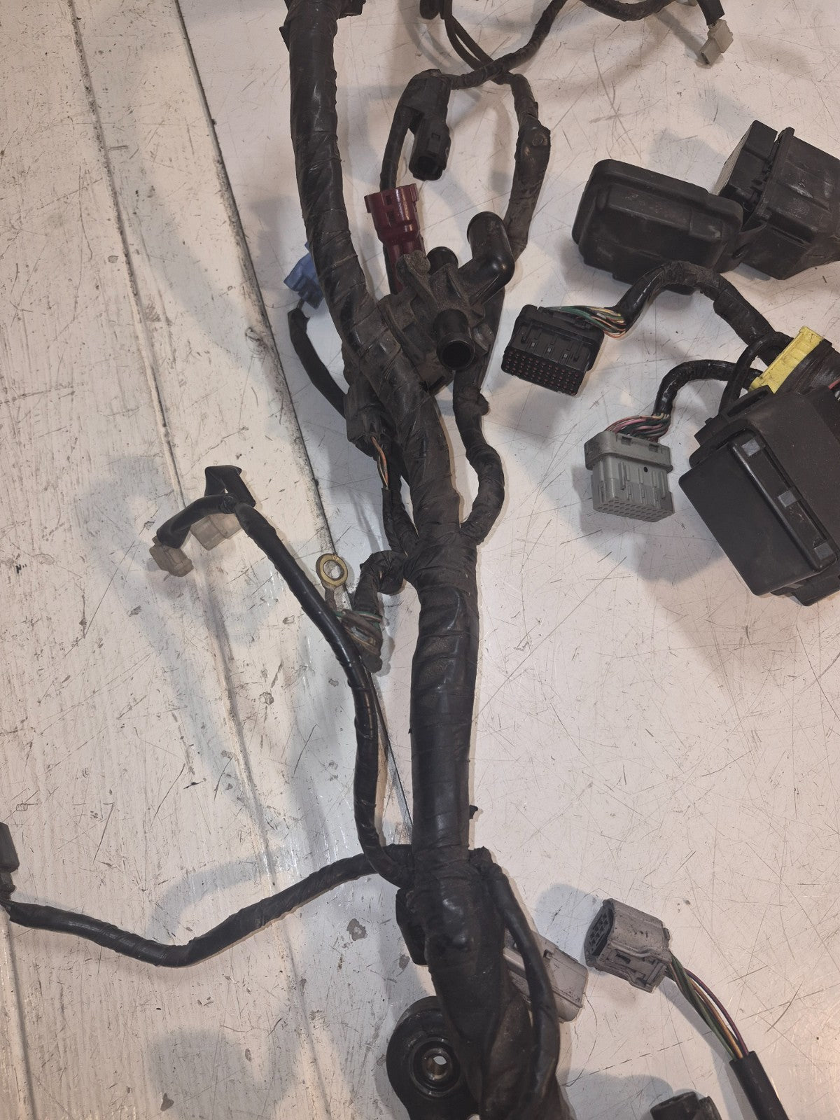 Honda CBF 1000 Loom / Wiring Harness
