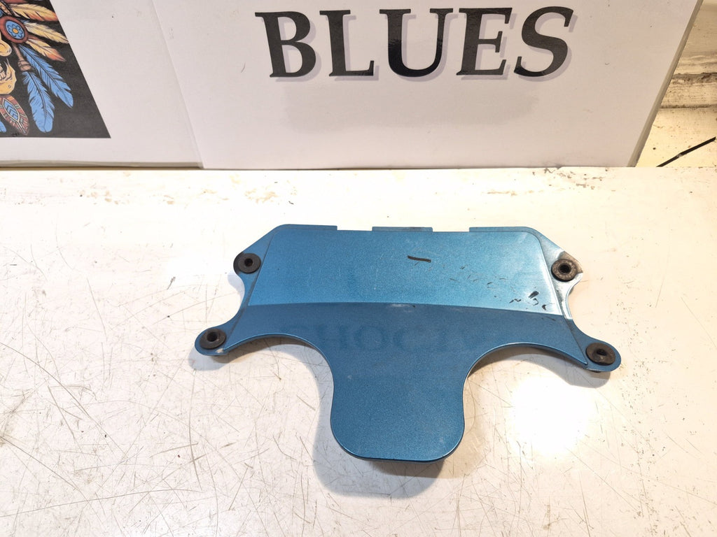 Kawasaki ZZR 600 Fairing, Infill Panel