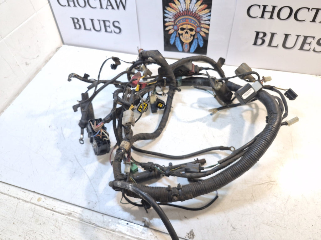 Kawasaki ER 5 Loom/Wiring Harness