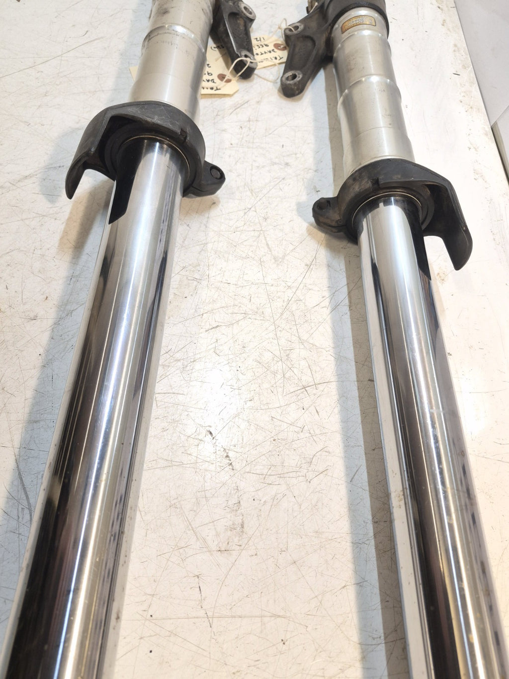 Triumph Daytona 955i Forks, Pair