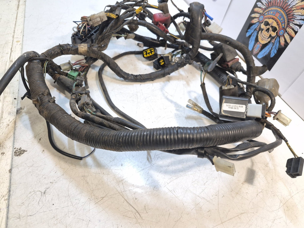 Kawasaki ER 5 Loom/Wiring Harness